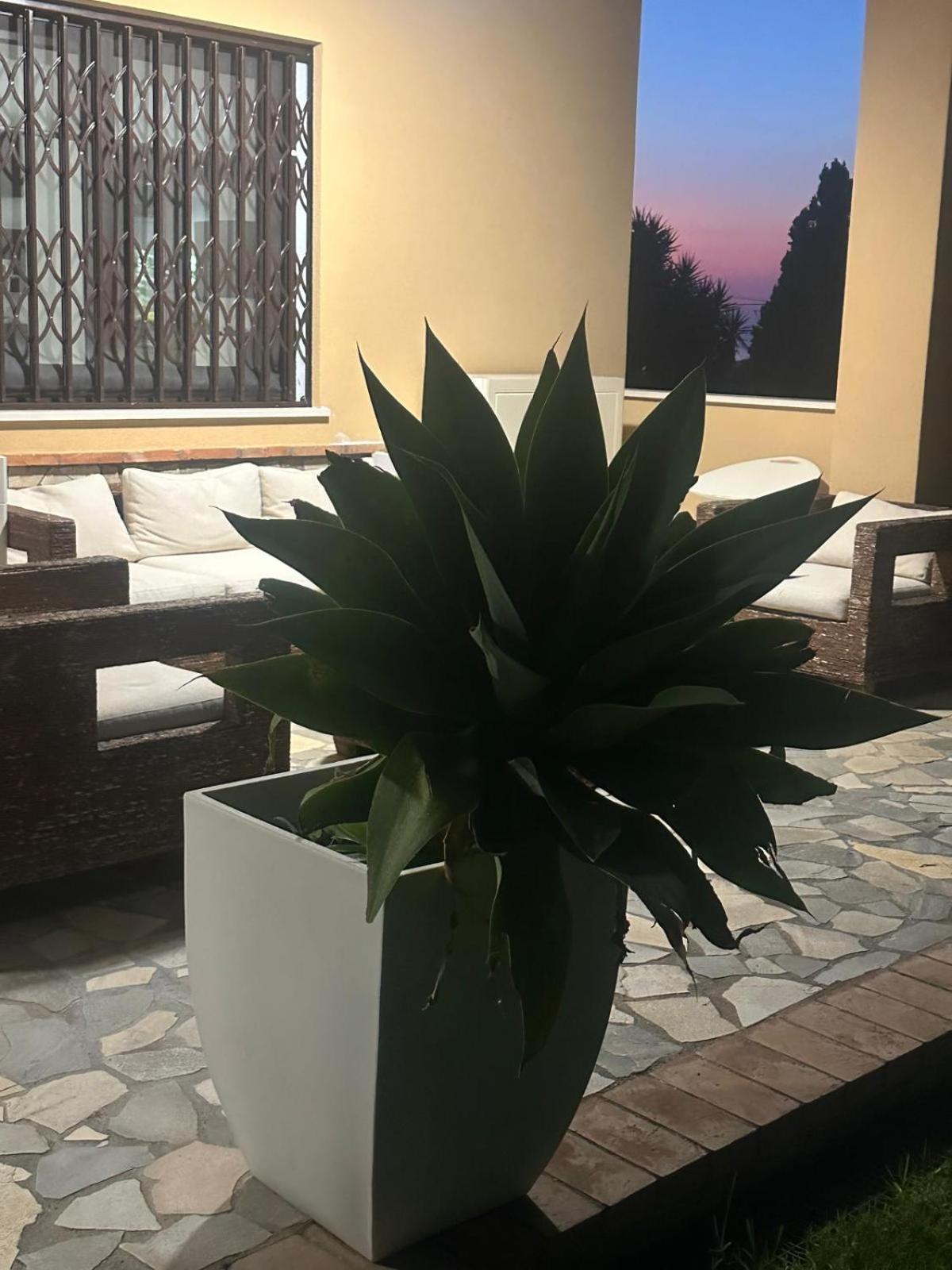 B&B Casa Marilu フスカルド エクステリア 写真